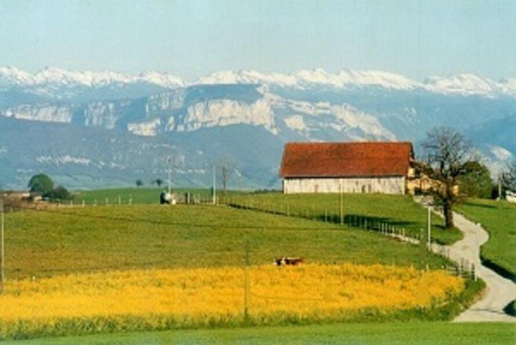 Gîte La Grange Du Haut Saint-Antoine  Extérieur photo